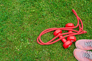 Image showing Ladie's dumbbles and sneakers on the green grass background