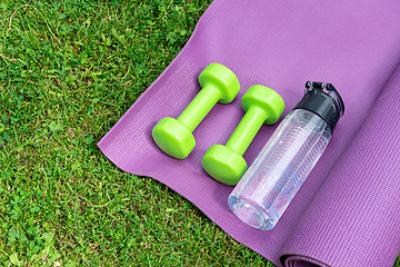 Image showing Ladie's dumbbles, fitness mat and sneakers on the green grass background