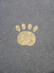 Image showing paw print sign