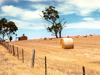 Image showing Australia landscape scenery background