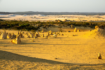 Image showing Pinnacles Desert in western Australia