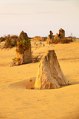 Image showing Pinnacles Desert in western Australia