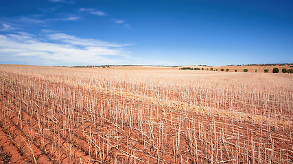 Image showing south australia agriculture dry field