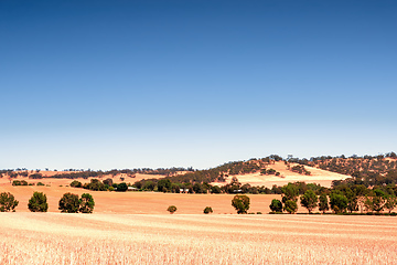 Image showing south australia agriculture dry field