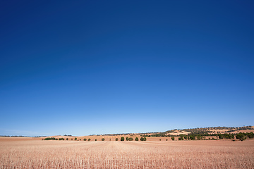 Image showing south australia agriculture dry field