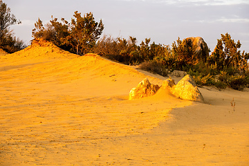 Image showing Pinnacles Desert in western Australia