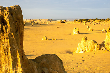 Image showing Pinnacles Desert in western Australia