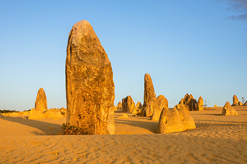 Image showing Pinnacles Desert in western Australia