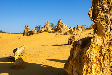 Image showing Pinnacles Desert in western Australia