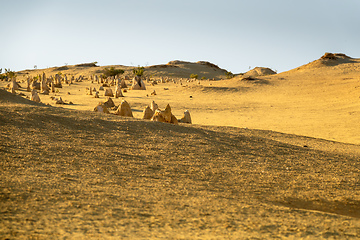 Image showing Pinnacles Desert in western Australia