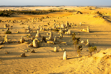 Image showing Pinnacles Desert in western Australia