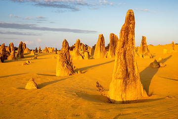 Image showing Pinnacles Desert in western Australia