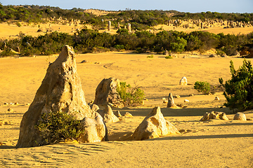 Image showing Pinnacles Desert in western Australia