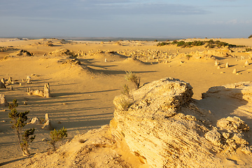 Image showing Pinnacles Desert in western Australia