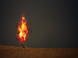 Image showing burning thorn bush christian symbol