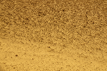 Image showing desert stones sand yellow texture