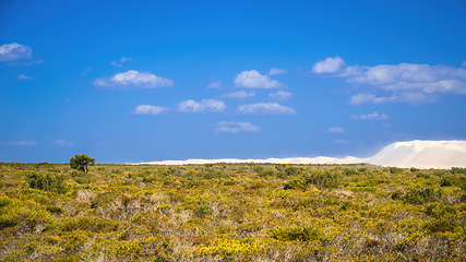 Image showing white dune in Western Australia