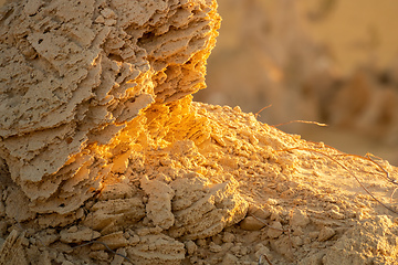 Image showing Rock detail at Pinnacles Desert in western Australia