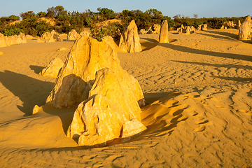 Image showing Pinnacles Desert in western Australia