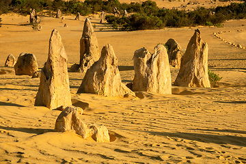 Image showing Pinnacles Desert in western Australia