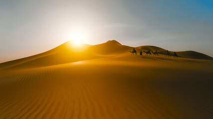 Image showing desert dunes caravan at sunset