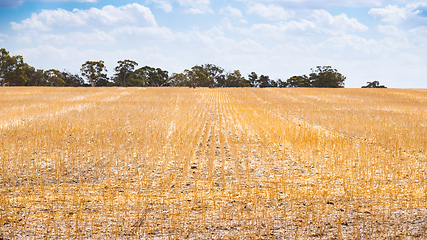 Image showing dry field in South Australia