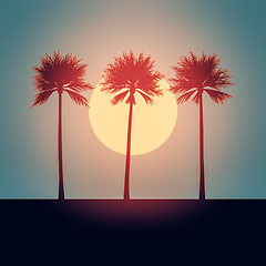 Image showing beautiful palm trees sunset background