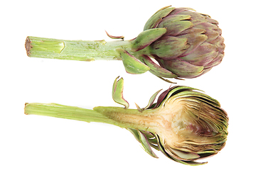 Image showing fresh artichoke isolated