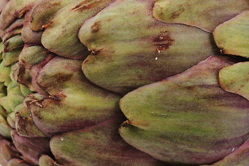 Image showing fresh artichoke texture