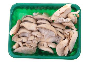 Image showing oyster mushroom isolated 