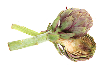 Image showing fresh artichoke isolated