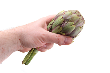 Image showing fresh artichoke isolated