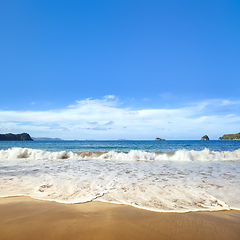 Image showing aerial view of Hahei Beach New Zealand