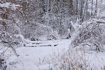 Image showing Winter landscape of frozen Lesna River