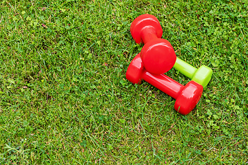 Image showing Ladie's dumbbells on the green grass background