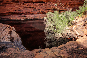 Image showing Kings Canyon in center Australia
