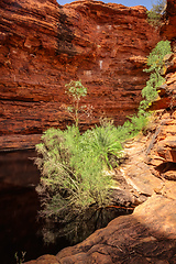 Image showing Kings Canyon in center Australia