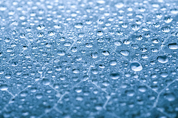 Image showing waterdrops