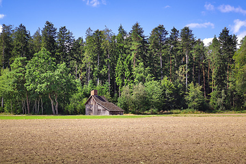 Image showing Black Forest scenery with wooden hut