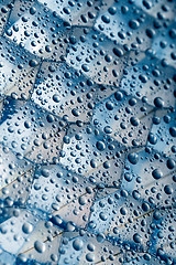 Image showing waterdrops