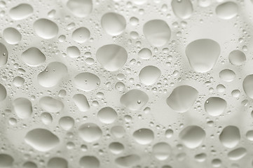 Image showing waterdrops