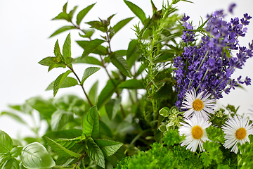 Image showing close up of green herbs and flowers