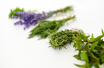 Image showing greens, spices or medicinal herbs on white