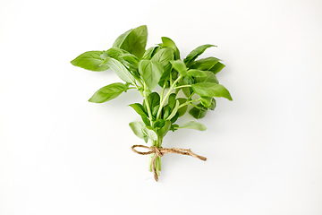 Image showing bunch of basil on white background