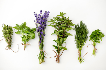 Image showing greens, spices or medicinal herbs on white