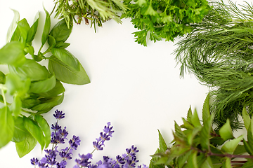 Image showing greens, spices or medicinal herbs on white