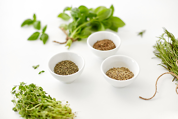 Image showing fresh and dry seasoning on white background