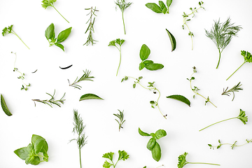 Image showing greens, spices or herbs on white background