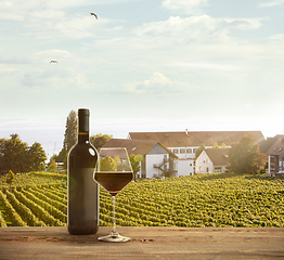 Image showing Glass and bottle of wine on wooden rail with country rural scene in background