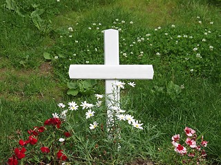 Image showing Cross graveyard